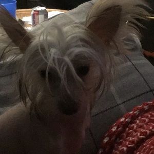 Meet your Posher, Lori